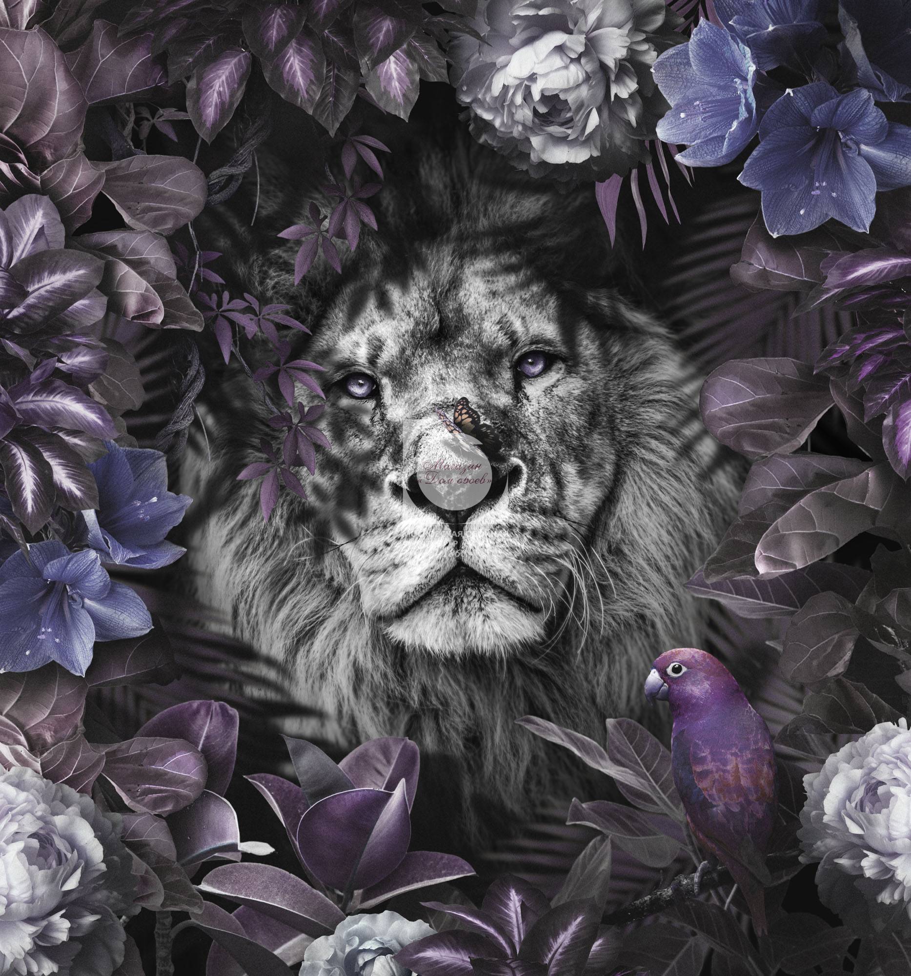 Lion violet 24-112