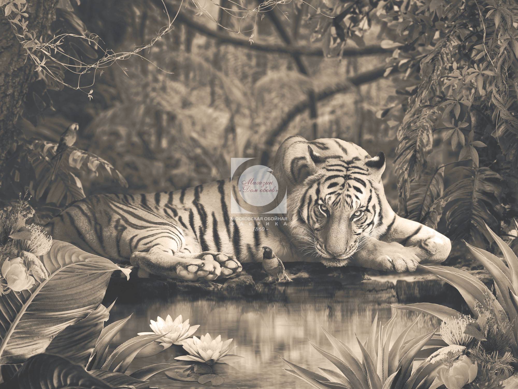 Tiger beige 24-118