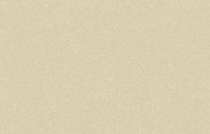 Trend Casual26 002 1