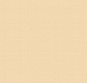 Neo Classic Neo5 002