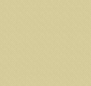 Neo Classic Neo5 005 1