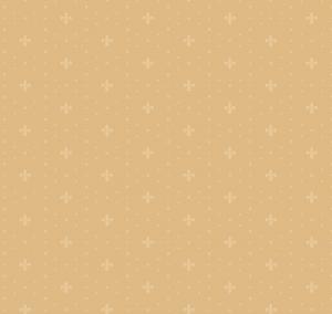 Neo Classic Neo6 004