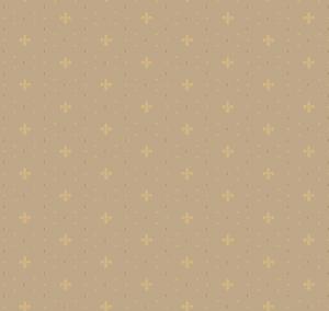 Neo Classic Neo6 005