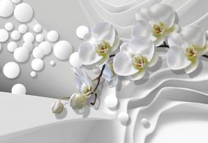 Белые орхидеи 6-189