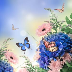 Цветы и бабочки 6-120