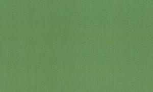 Rasch Barbara XL 800562