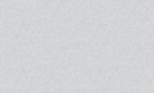 Palazzo Peterhof 7007-4