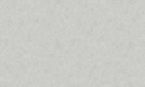 Palazzo Peterhof 7007-3