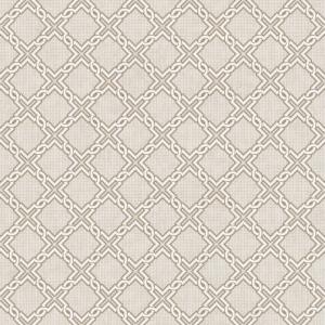 Hakan Akkaya 1 DK.N19381-1