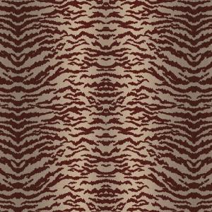 Hakan Akkaya 1 DK.N19388-1