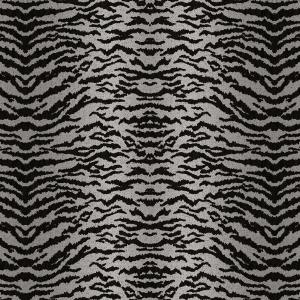 Hakan Akkaya 1 DK.N19388-2