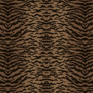 Hakan Akkaya 1 DK.N19388-3