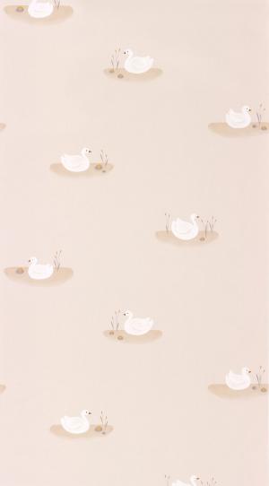 Rose & Nino 85491212