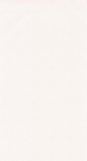 Rose & Nino 85521415