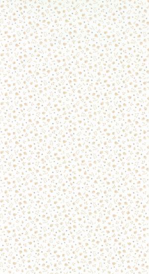 Rose & Nino 85631033