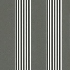 Spectrum MAX 54366-5