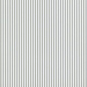 Spectrum MAX 54365-14