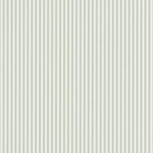 Spectrum MAX 54365-13