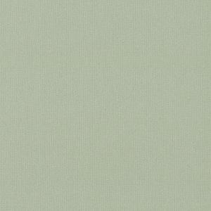 Spectrum MAX 54359-8