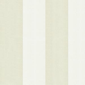 Spectrum MAX 54364-2