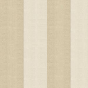 Spectrum MAX 54364-5