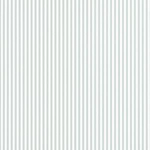 Spectrum MAX 54365-12