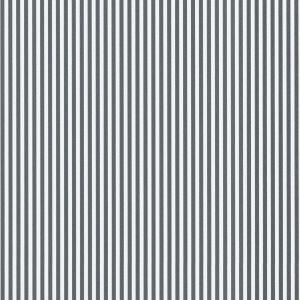 Spectrum MAX 54365-17