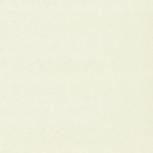 Spectrum MAX 54357-2