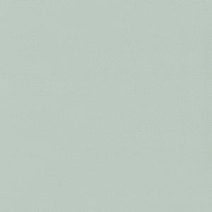 Spectrum MAX 54357-8