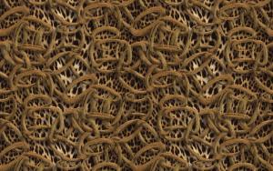 Roberto Cavalli 7 RC18015