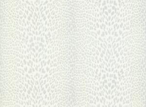 Roberto Cavalli 7 RC18027