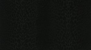 Roberto Cavalli 7 RC18032