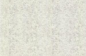 Roberto Cavalli 7 RC18079