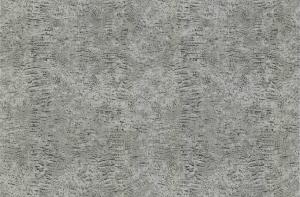 Roberto Cavalli 7 RC18083