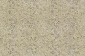 Roberto Cavalli 7 RC18087