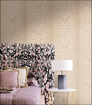 Roberto Cavalli 7 RC18035