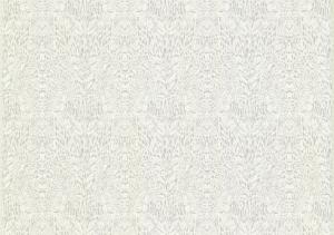 Roberto Cavalli 7 RC18056