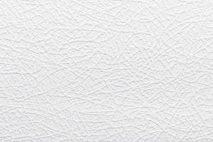 Antivandal NC 2398-15