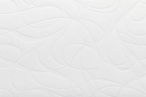 Antivandal NC 2427-16