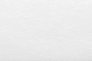 Antivandal NC 2488-17