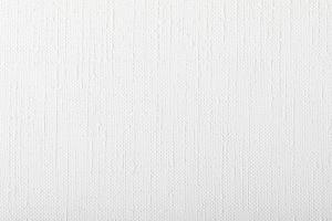 Antivandal NC 2506-12