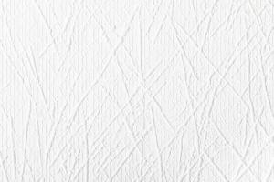 Antivandal NC 5730-18