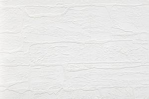 Antivandal NC 4010-19