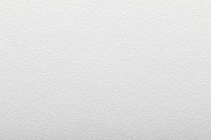 Antivandal NC 4010-22