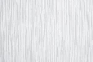 Antivandal NC 4010-27