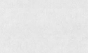 Фламенко фон 4369-1