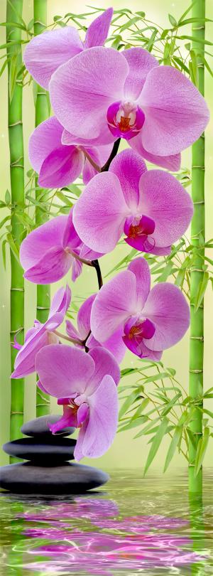 Стебли бамбука и орхидея 6-156nk