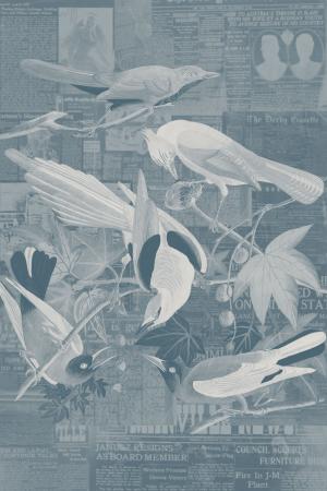 Bird paper grey 24-102
