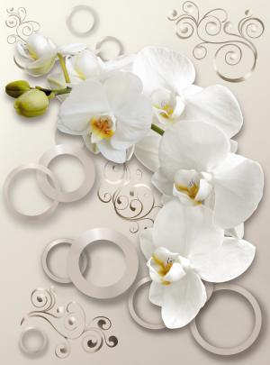 Белая орхидея 6276-ML